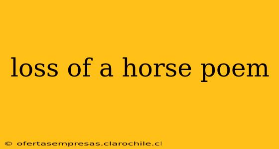 loss of a horse poem