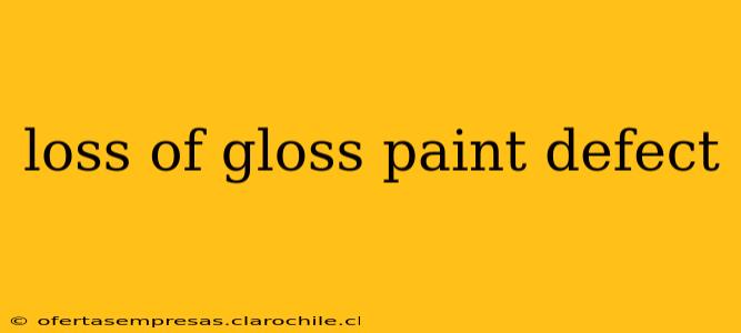 loss of gloss paint defect