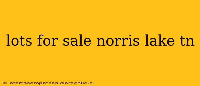 lots for sale norris lake tn