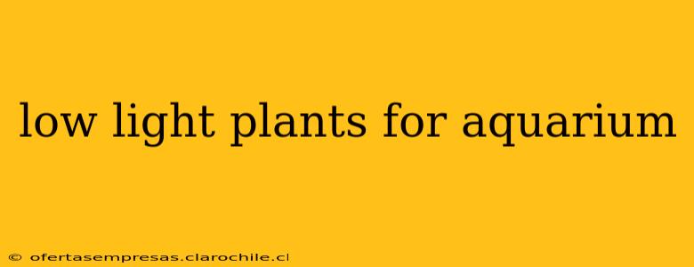 low light plants for aquarium