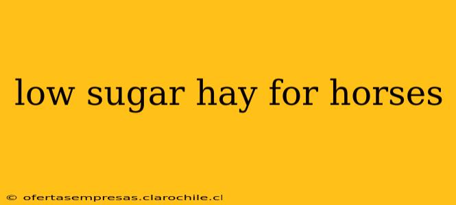 low sugar hay for horses