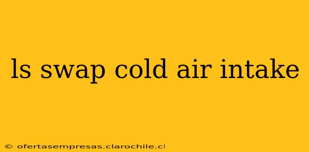 ls swap cold air intake