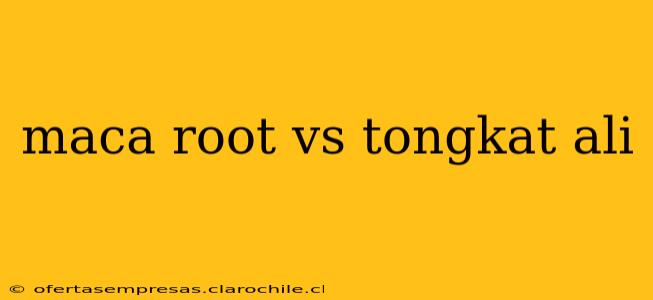 maca root vs tongkat ali