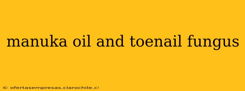 manuka oil and toenail fungus