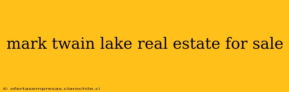 mark twain lake real estate for sale