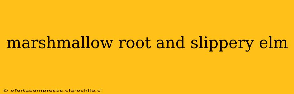 marshmallow root and slippery elm