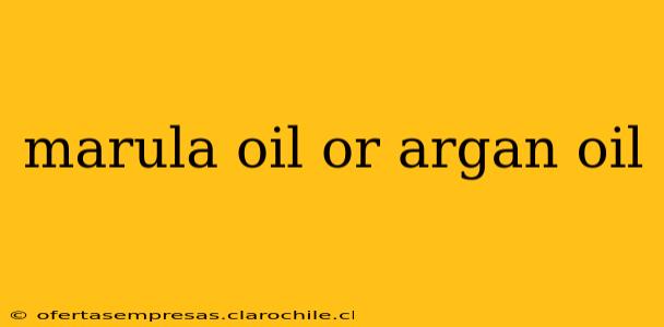 marula oil or argan oil