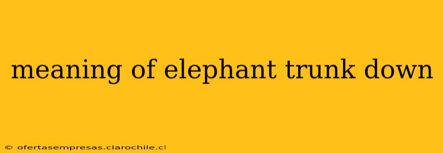 meaning of elephant trunk down