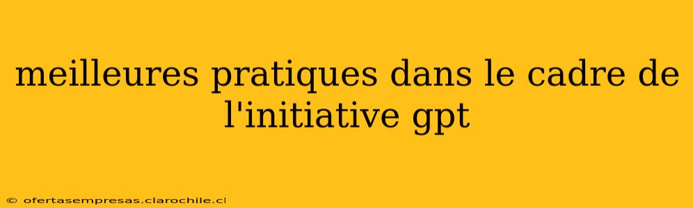 meilleures pratiques dans le cadre de l'initiative gpt