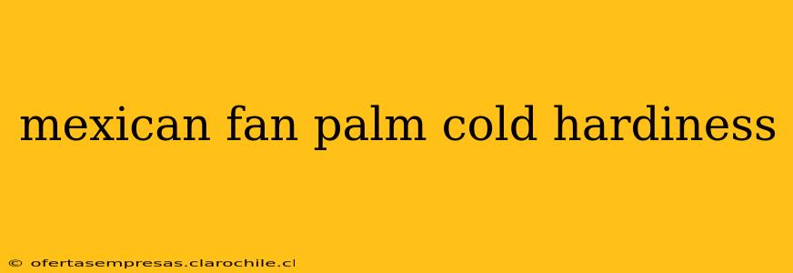 mexican fan palm cold hardiness