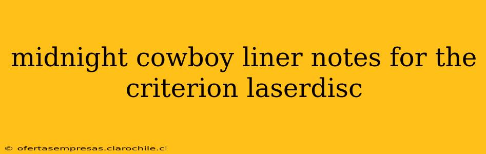 midnight cowboy liner notes for the criterion laserdisc