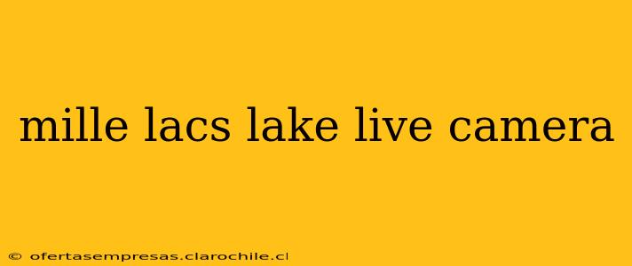 mille lacs lake live camera