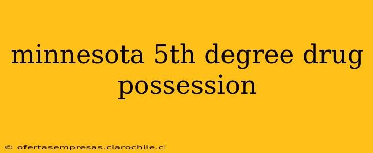 minnesota 5th degree drug possession