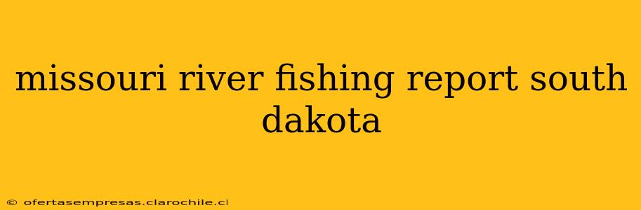 missouri river fishing report south dakota