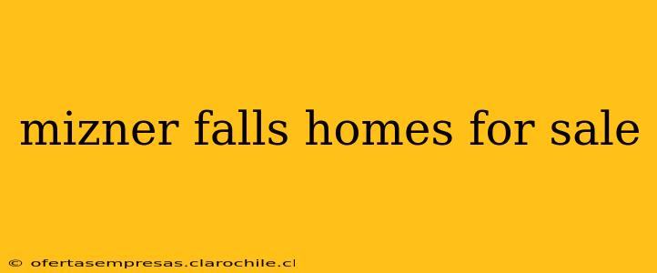 mizner falls homes for sale