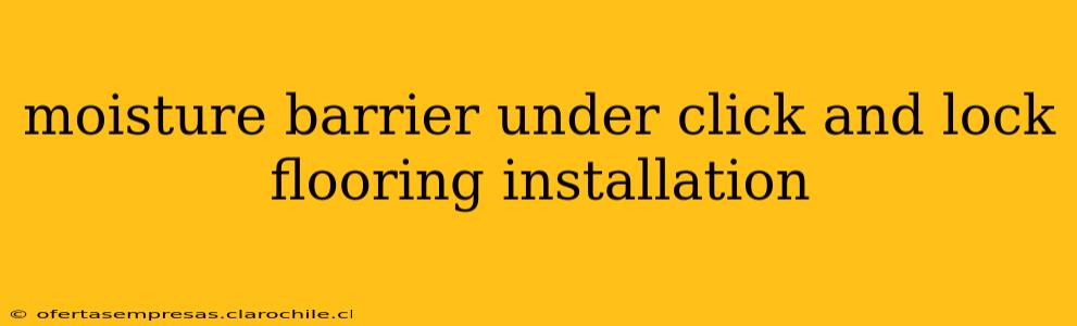 moisture barrier under click and lock flooring installation