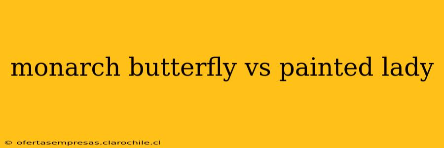 monarch butterfly vs painted lady