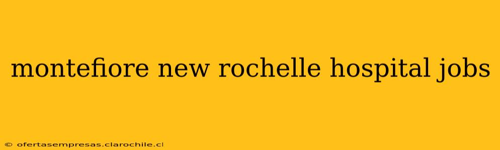 montefiore new rochelle hospital jobs