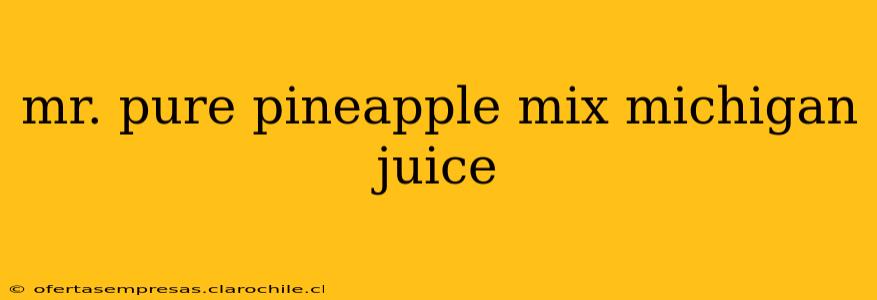 mr. pure pineapple mix michigan juice