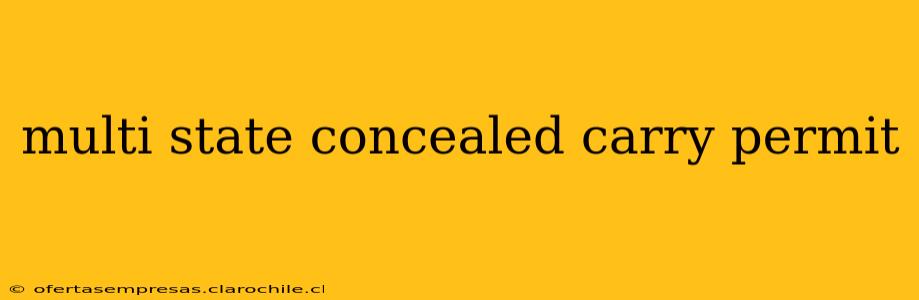 multi state concealed carry permit