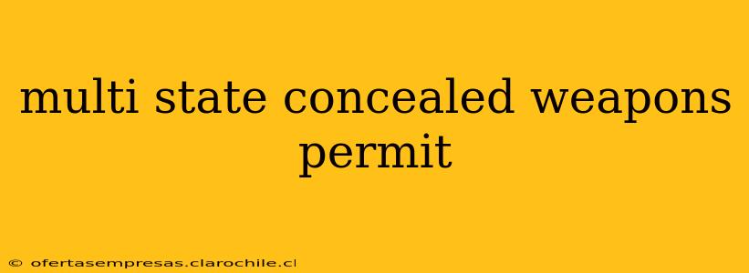 multi state concealed weapons permit