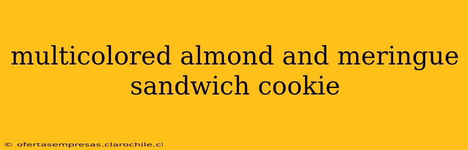 multicolored almond and meringue sandwich cookie