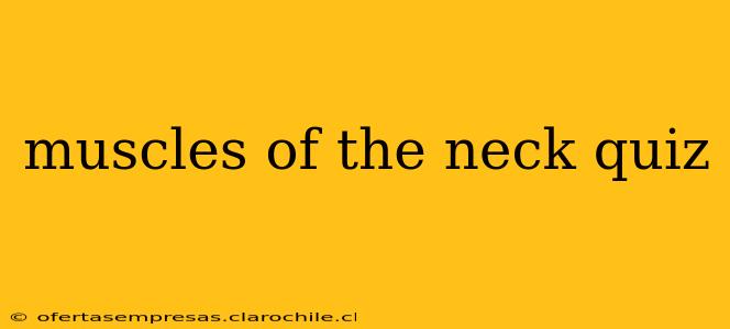 muscles of the neck quiz