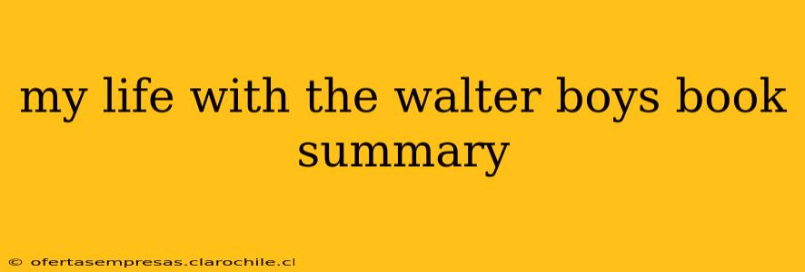 my life with the walter boys book summary