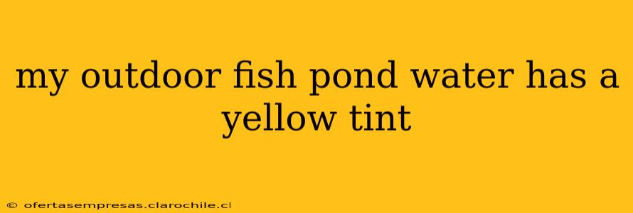my outdoor fish pond water has a yellow tint