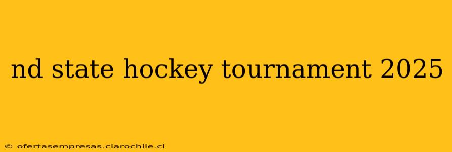 nd state hockey tournament 2025