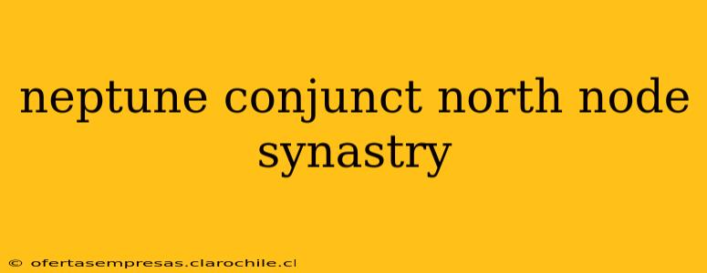 neptune conjunct north node synastry