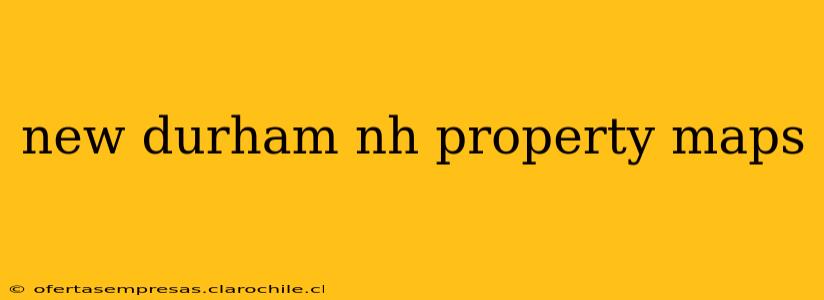 new durham nh property maps