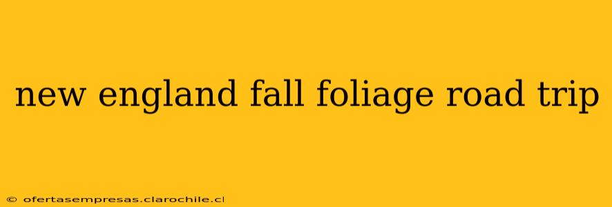 new england fall foliage road trip