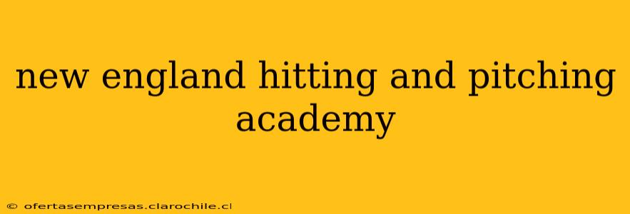 new england hitting and pitching academy