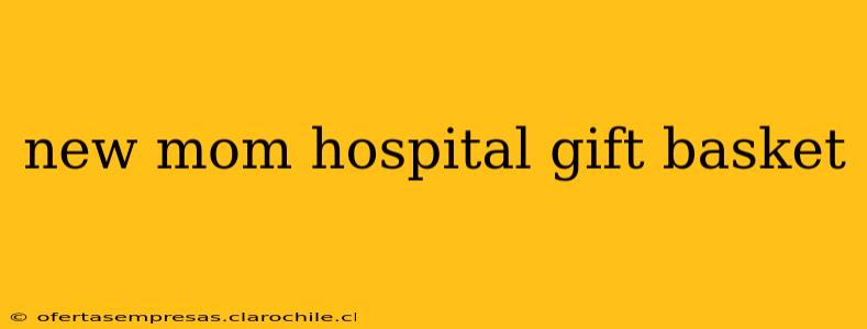 new mom hospital gift basket