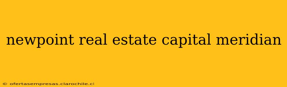 newpoint real estate capital meridian