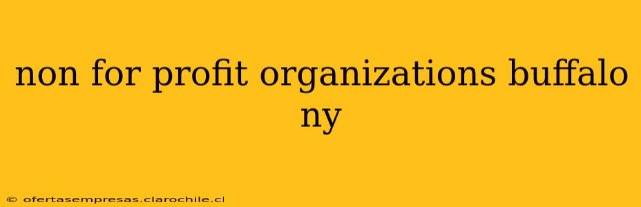 non for profit organizations buffalo ny