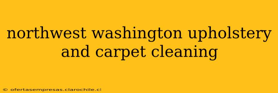 northwest washington upholstery and carpet cleaning