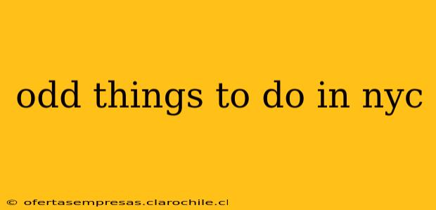 odd things to do in nyc