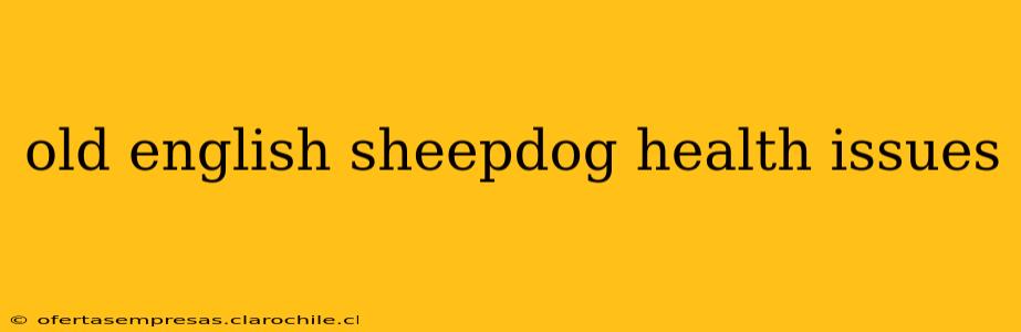 old english sheepdog health issues