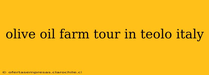 olive oil farm tour in teolo italy