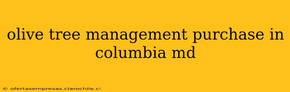 olive tree management purchase in columbia md