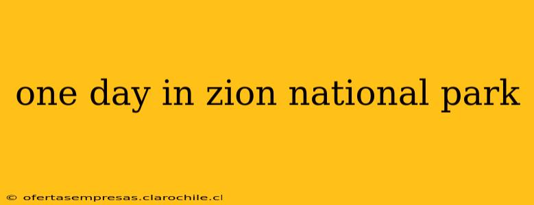 one day in zion national park