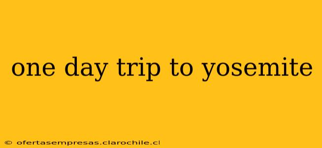one day trip to yosemite