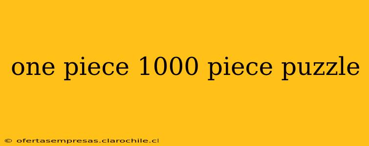 one piece 1000 piece puzzle