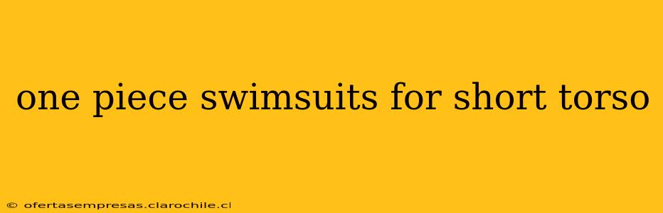 one piece swimsuits for short torso