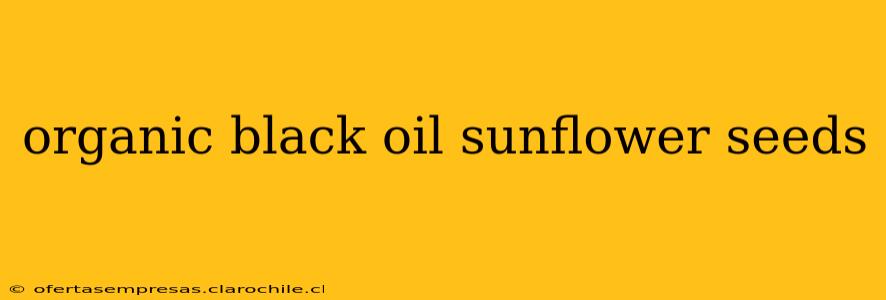 organic black oil sunflower seeds