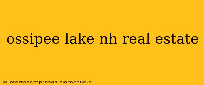 ossipee lake nh real estate