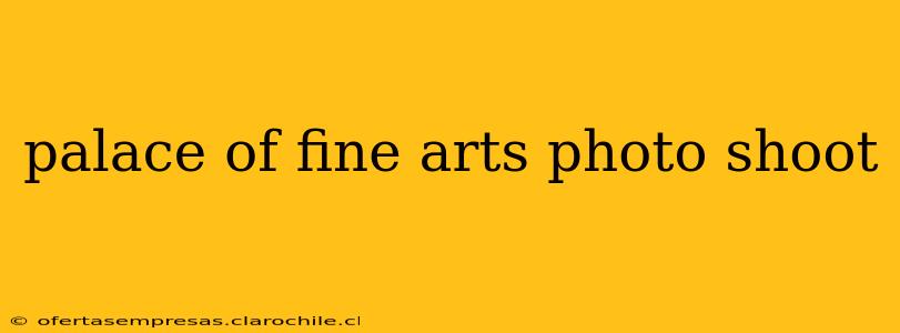 palace of fine arts photo shoot