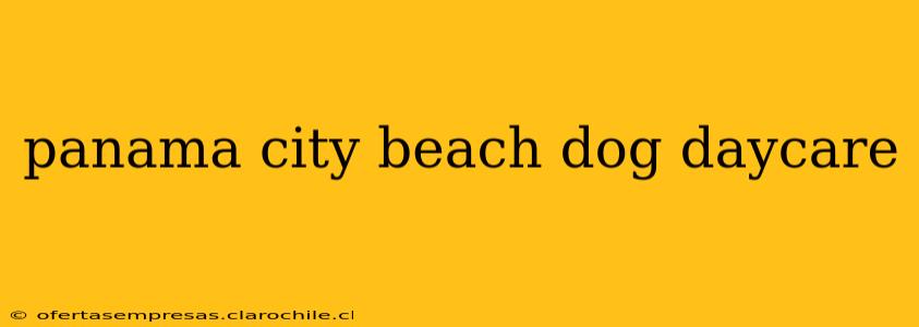 panama city beach dog daycare